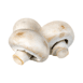 Haricot 500g
