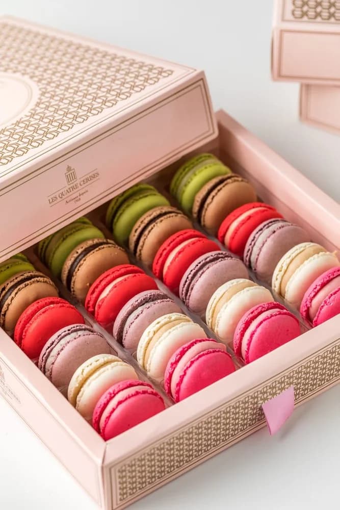 Boite Macaron 24 Pièces