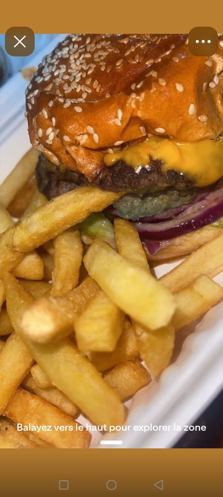 Cheese burger