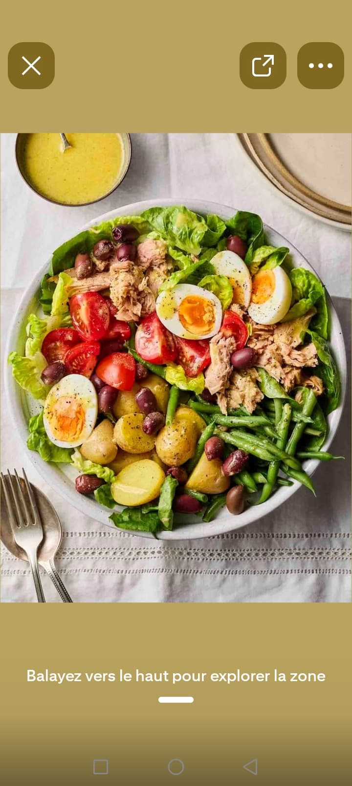 Nicoise